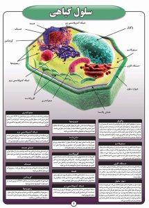 اطلس زیست شناسی سلولی 10 برگی