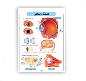 اطلس آناتومی بدن انسان 16 برگی- دستگاه بینایی
