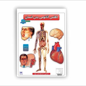 اطلس آناتومی بدن انسان (16 برگی)